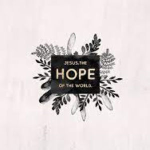 Meet your Posher, Macie